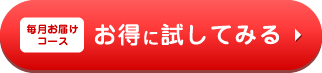 お得に試してみる
