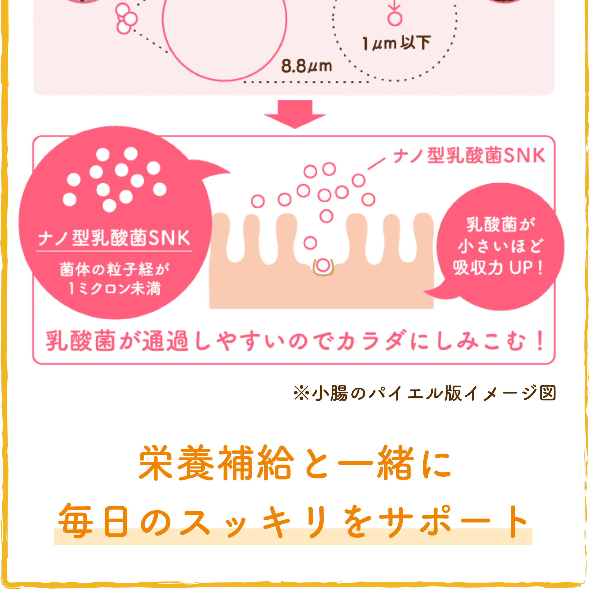 5つのこだわり