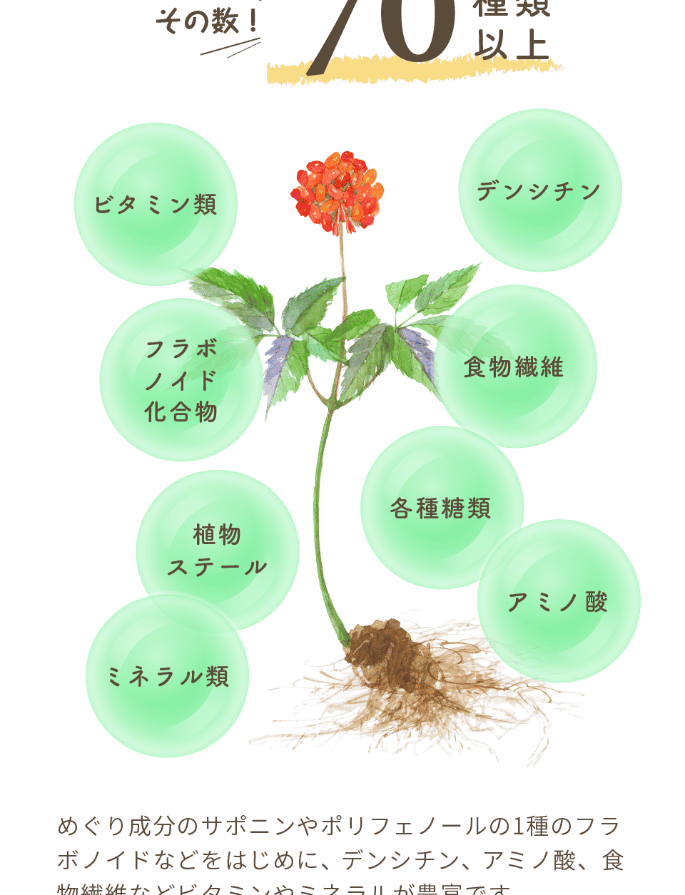 こだわり