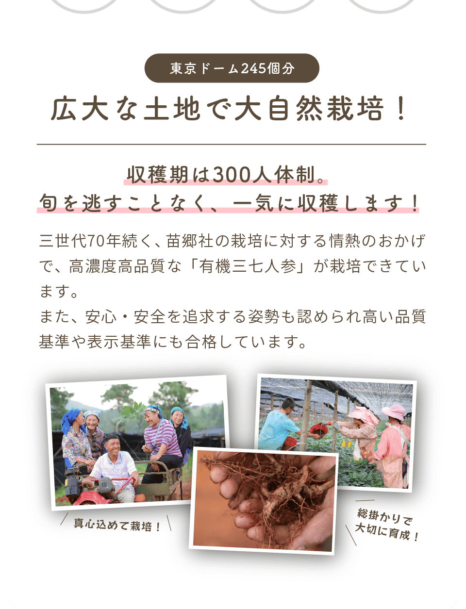 こだわり