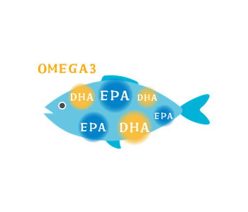 3月8日はサバの日！ DHAがお子さまの記憶力アップをサポート